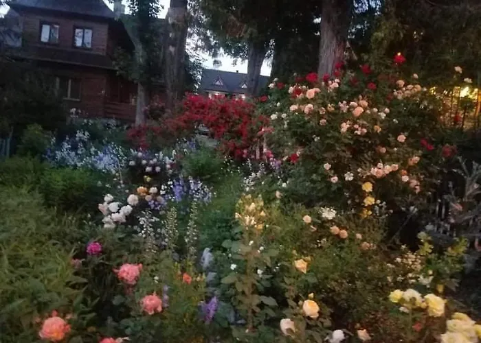 Apartament Kamieniec